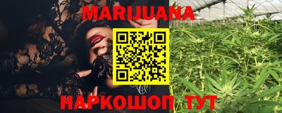 индика Абакан